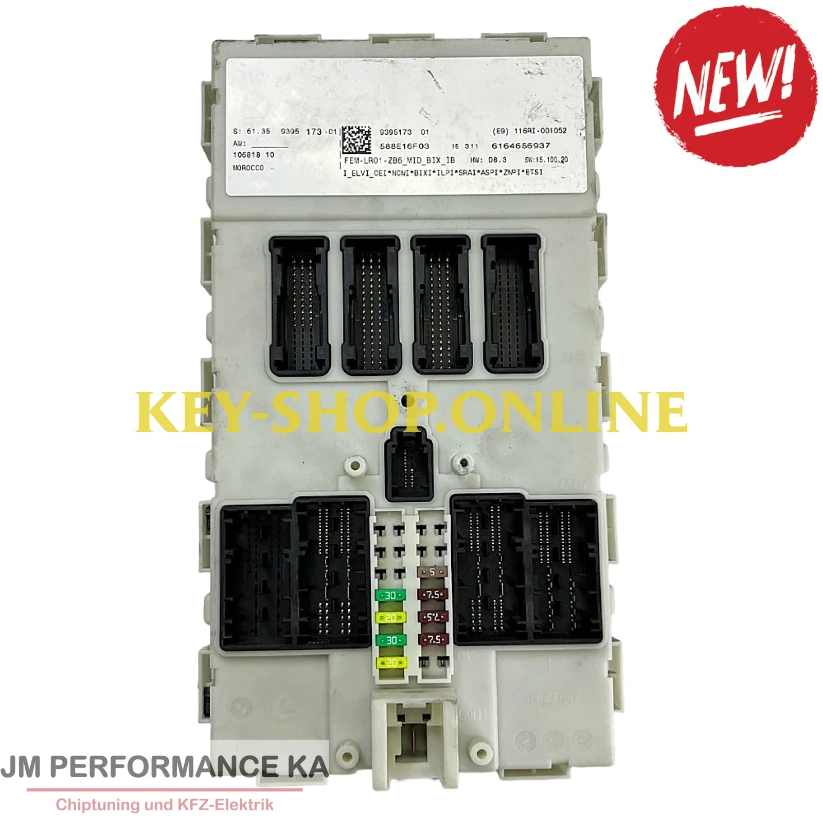 Datenübertragung FEM und BDC (Front Electronic Modul und Body Domain Controller) BMW - Zentralelektronik